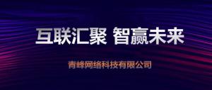 “互聯(lián)聚匯，智贏未來” 2019焦作青峰全網(wǎng)合作峰會***成功！